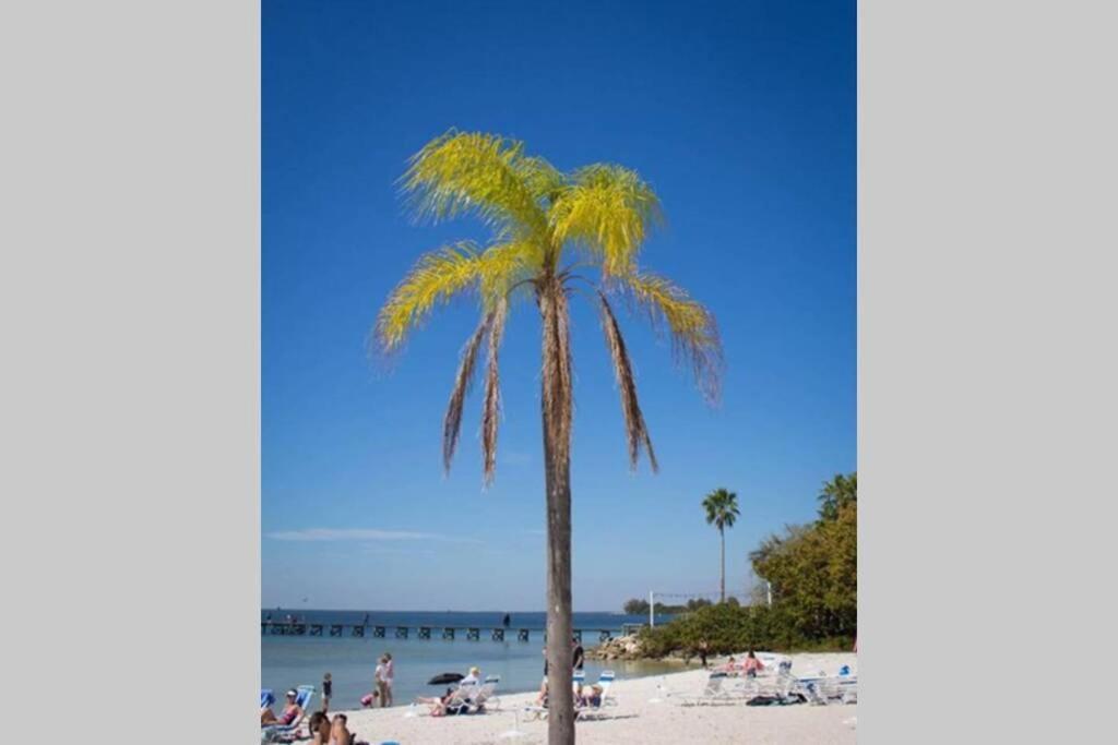Bay View, Studio206, Beach Steps Away! Pool+Wifi Ruskin Bagian luar foto